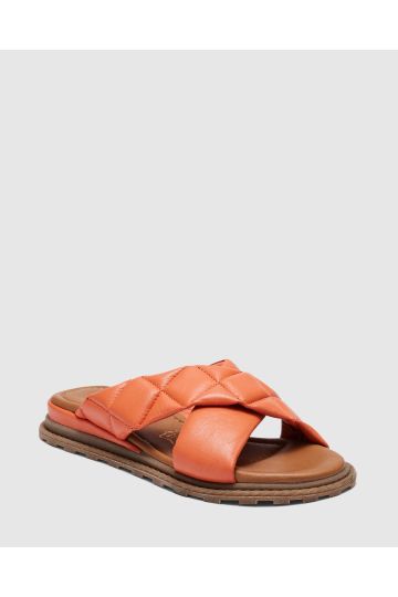 VIOLETTE / Coral