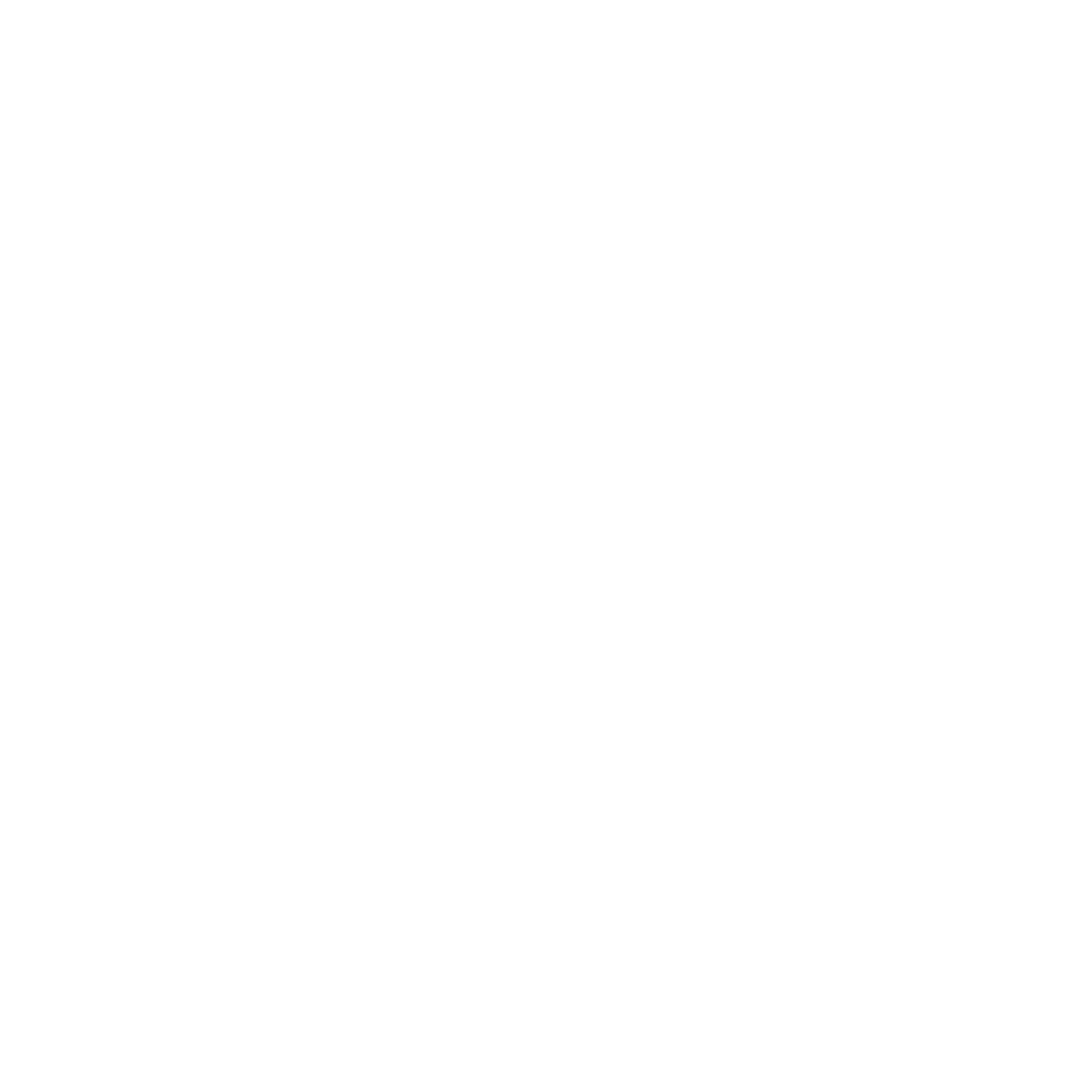 present_icon